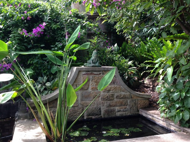 One of many ponds at Wyoming, Birchgrove. Janna Schreier