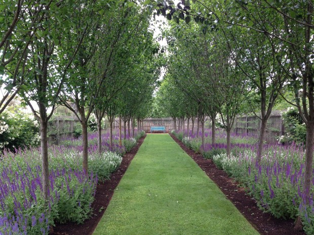 Pears and salvias at Lambley Nursery. Janna Schreier