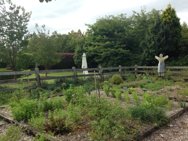 Scarecrow in the herb garden at Bells. Janna Schreier