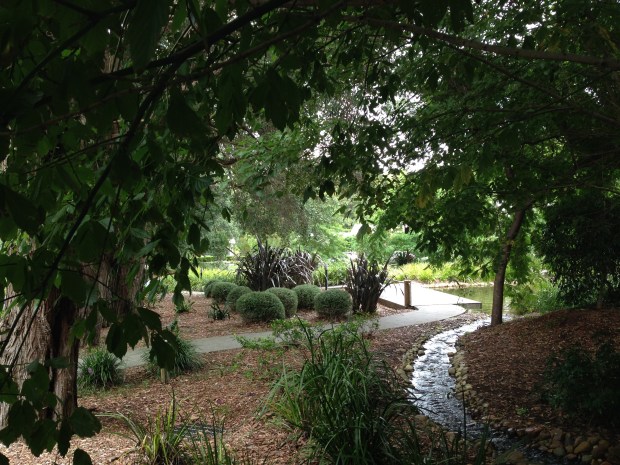 Stream feeding the lake at Bells of Killcare. Janna Schreier