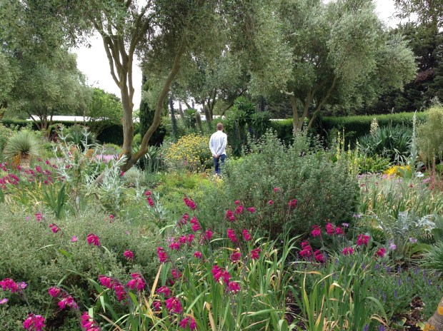 The Dry Garden at Lambley Nursery. Janna Schreier-2