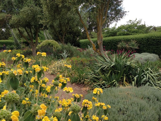 The Dry Garden at Lambley Nursery. Janna Schreier