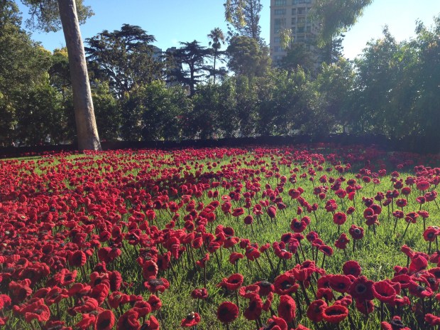 5,000 Poppies at MIFGS. Janna Schreier