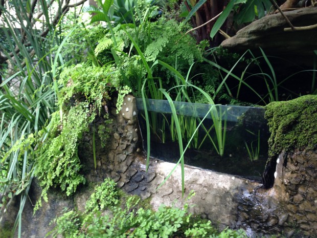 Andrew's Vaucluse infinity pool. Janna Schreier