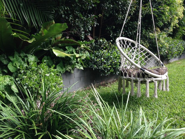 Asplenium and Crassula textures. Janna Schreier