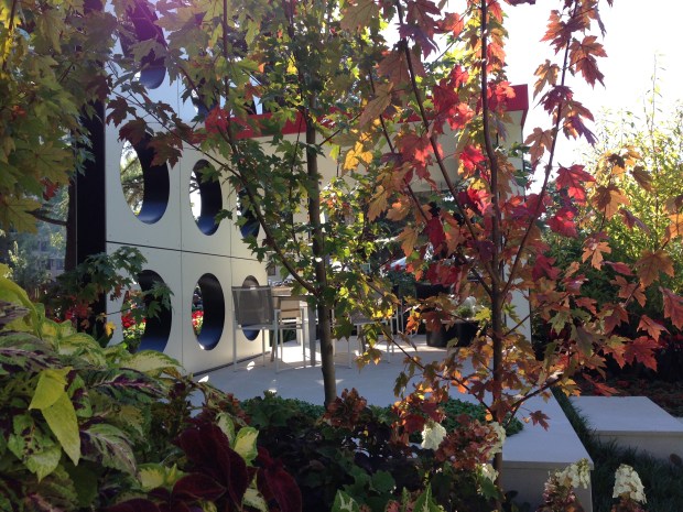 Autumn colours at 'Resonate', MIFGS. Janna Schreier