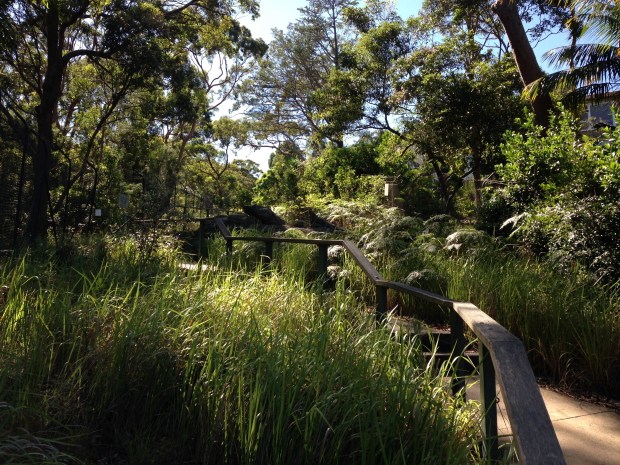 Balmoral Oval Steps. Janna Schreier