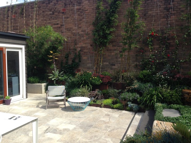 Bamboo and climbers softening a high wall. Janna Schreier