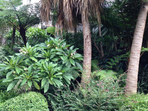 Christopher Owen's Vaucluse Garden. Janna Schreier