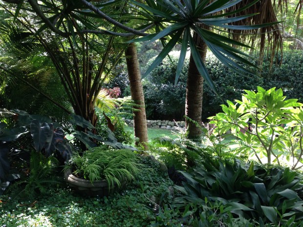 Deep subtropical planting. Janna Schreier