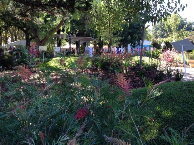 Grevilleas and Kangaroo paws at MIFGS. Janna Schreier
