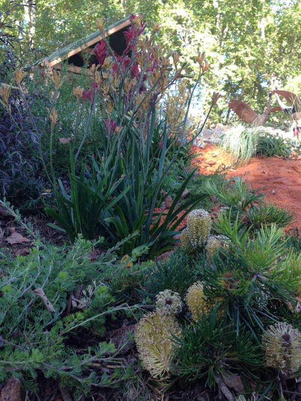 Native plantings at 'The Bronzed Brolga'. Janna Schreier