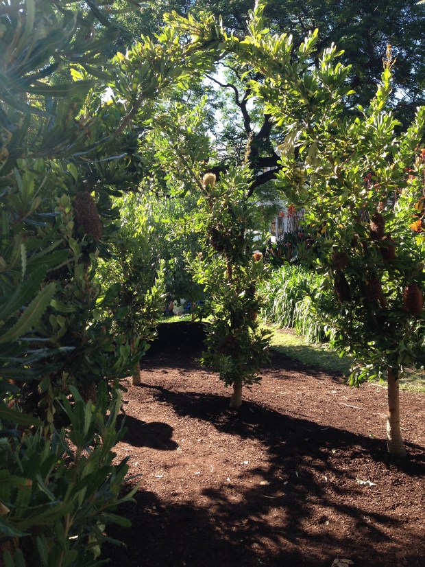 Phillip Johnson's Banksia archway at MIFGS. Janna Schreier