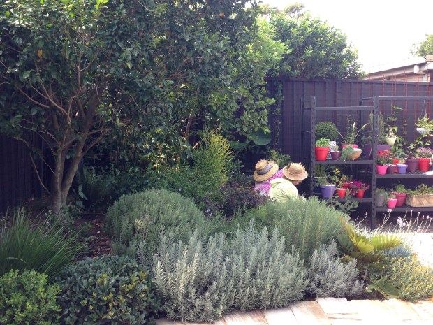 Sitting amongst the plants in St Peters. Janna Schreier