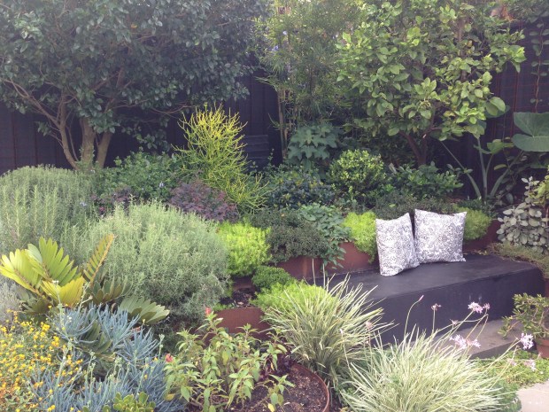 Wonderful planting at Brendan Moar's St Peters garden. Janna Schreier