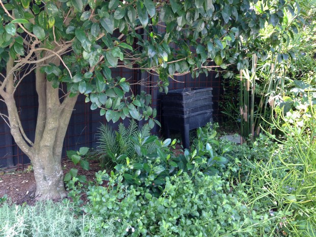 Worm farm at Stefanie's St Peters' garden. Janna Schreier