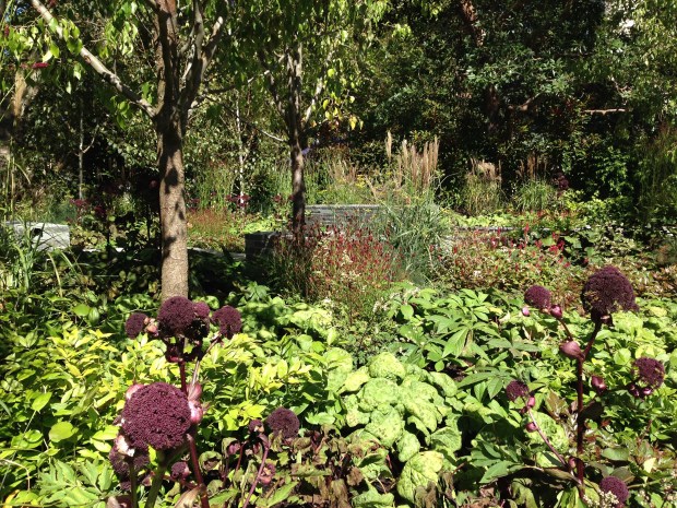 Angelica gigas steal the show in Ian Barker's 'Cross Roads'. Janna Schreier