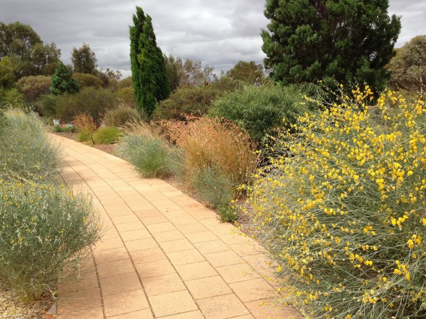 Arid Lands Botanic Garden. Janna Schreier