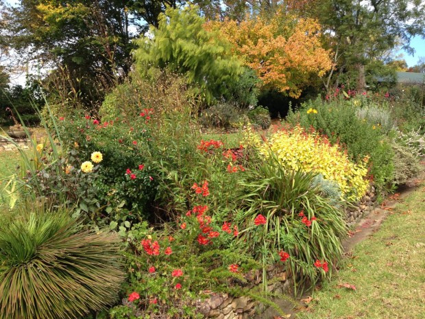 Autumn colours at Woodgreen. Janna Schreier