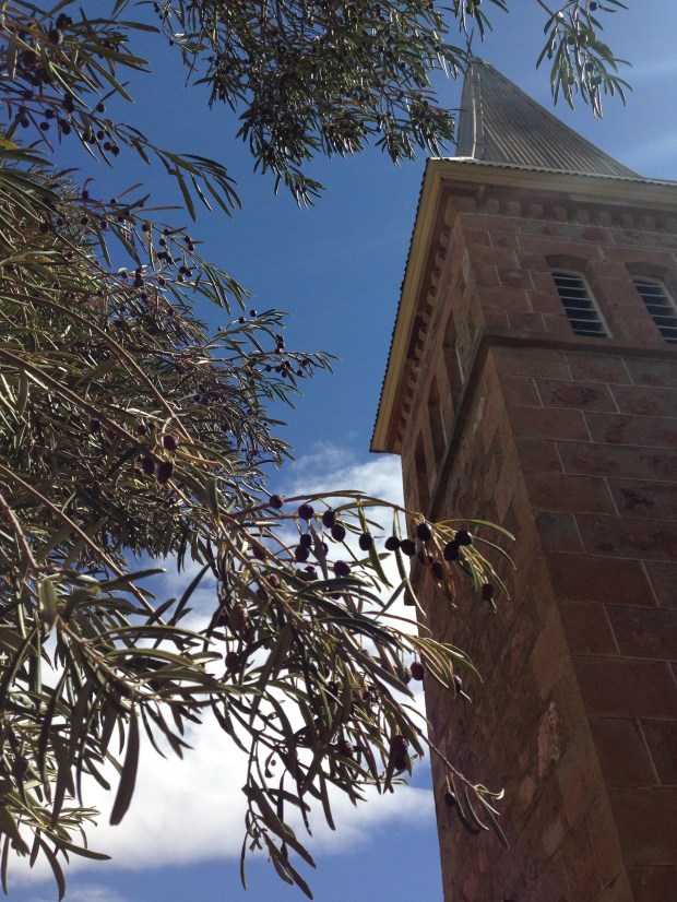 Bungaree chruch surrounded by olive trees. Janna Schreier