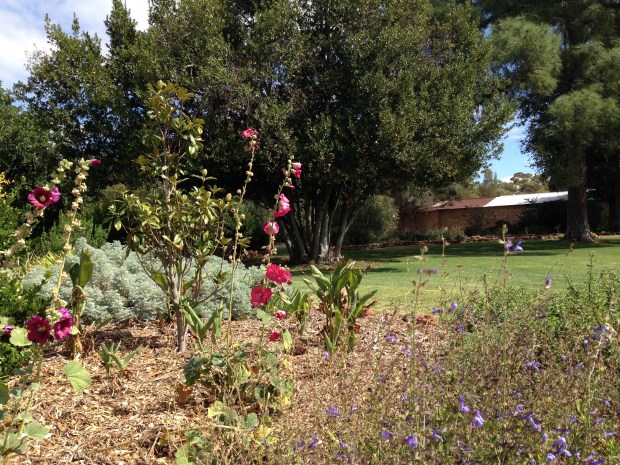 Bungaree Station garden. Janna Schreier