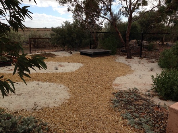 Coastal garden at Arid Lands Botanic Garden. Janna Schreier