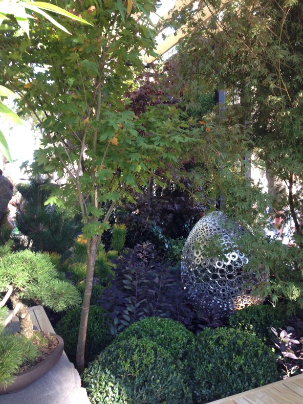Contrasts: Bonsai next to a 3 metre Acer, clipped balls next to free forms. Janna Schreier
