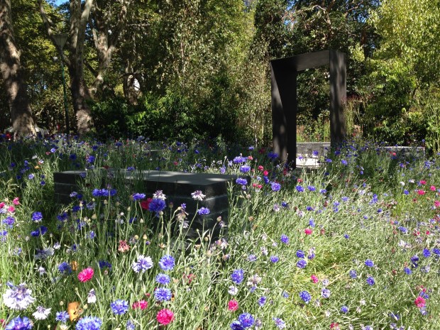 Ian Barker's Cornflower Meadow at 'Cross Roads'. Janna Schreier