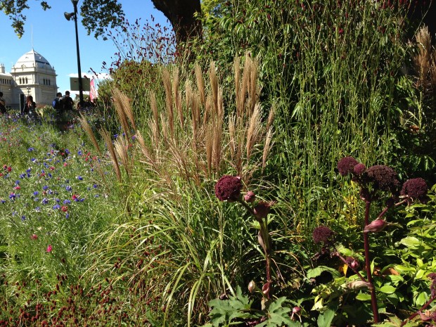 Integration of cornflower meadow and garden at 'Cross Roads'. Janna Schreier
