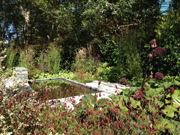 Reflection pool at 'Cross Roads' by Ian Barker. Janna Schreier