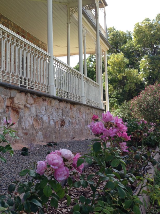 Roses at Bungaree Station. Janna Schreier