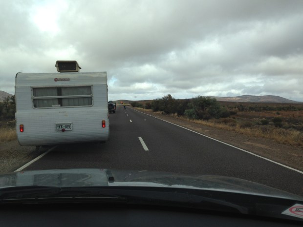 Sheep crossing in South Australia. Janna Schreier
