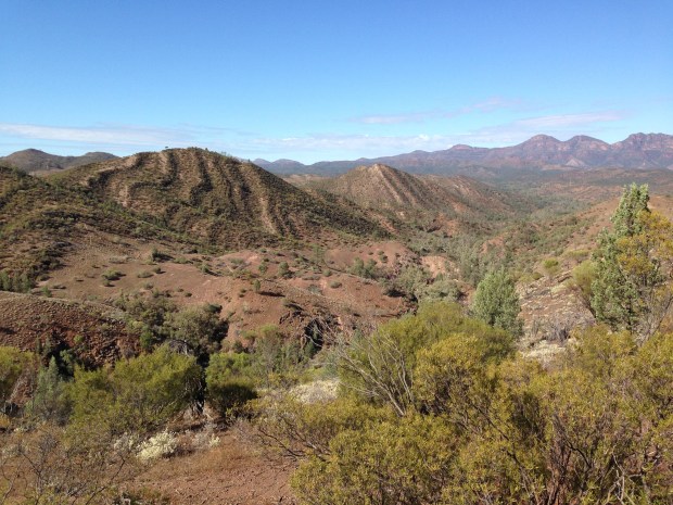 The bleak but stunning landscape of the Flinders Ranges. Janna Schreier