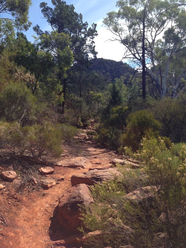 Typical pathway through the Flinders Ranges. Janna Schreier