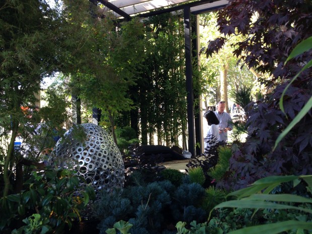 Wondeful constrasting colours, forms and textures. Janna Schreier