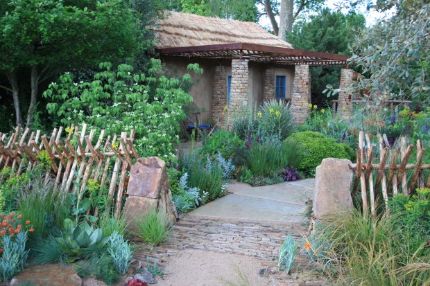 Arid planting at Matthew Keightley's Sentebale