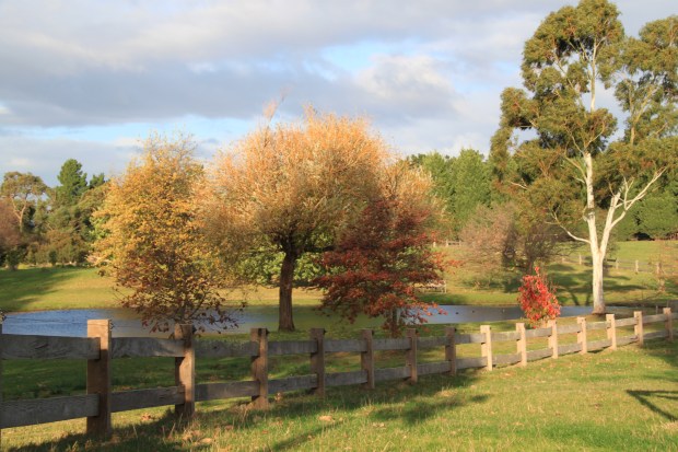 Autumn at Cruden Farm. Janna Schreier