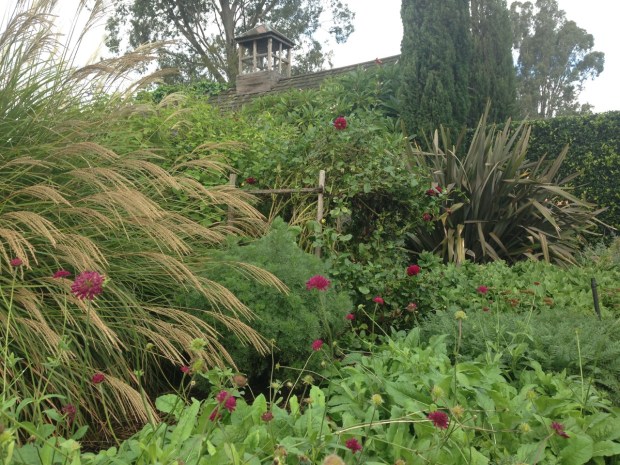 Autumn texture at Glenmore House. Janna Schreier