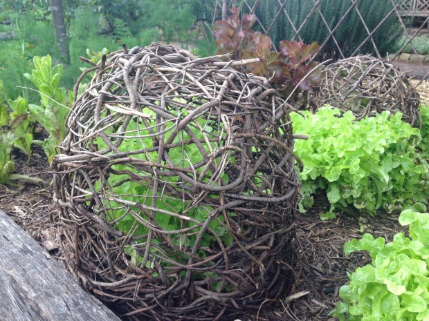 Beautiful cloche. Janna Schreier