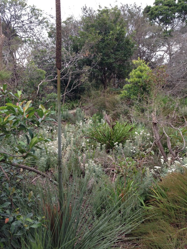 Bushland opposite 'Saturday'. Janna Schreier