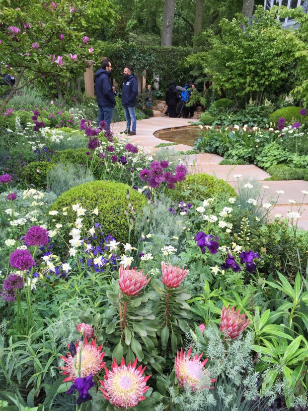 Charlie Albone's Chelsea 2015 Garden