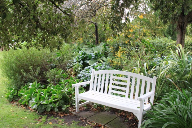 Classic white, timber bench at Cruden Farm. Janna Schreier