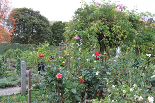 Cutting garden at Cruden Farm. Janna Schreier