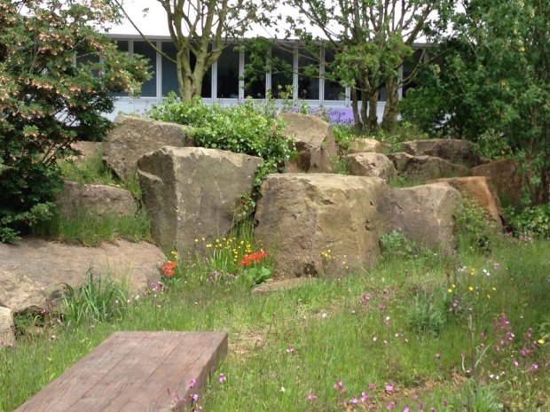 Dan Pearson's Chatsworth Chelsea garden's naturalistic planting