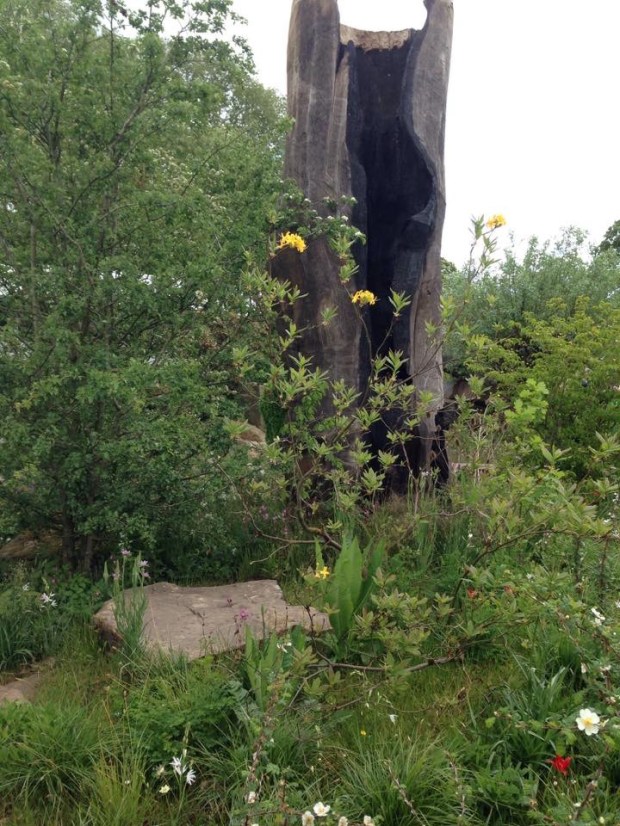 Dead tree trunk at Dan Pearson's Chelsea garden