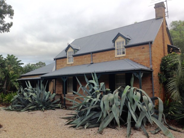 Glenmore House with Agave. Janna Schreier