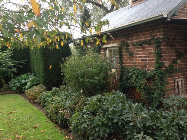 Low maintenance planting at Glenmore House. Janna Schreier