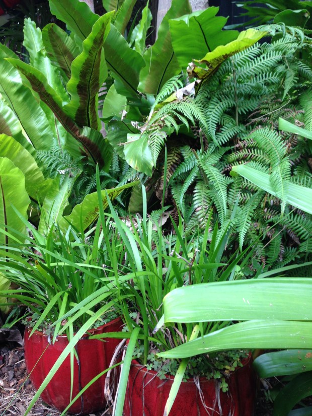 Lush greens at 'Saturday'. Janna Schreier