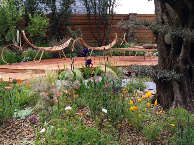 Matthew Wilson's Royal Bank of Canada Chelsea 2015 Garden