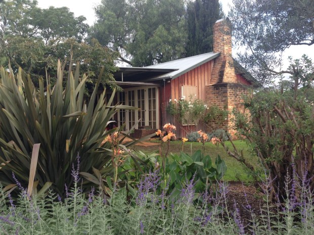 Peroskia and Canna at Glenmore House. Janna Schreier